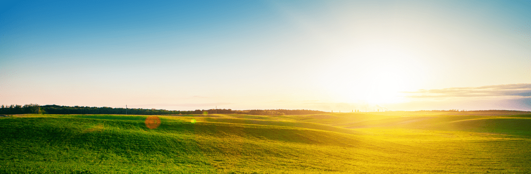 Green Field and Beautiful Sunset