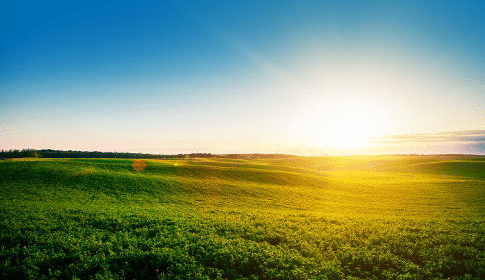 Green Field and Beautiful Sunset